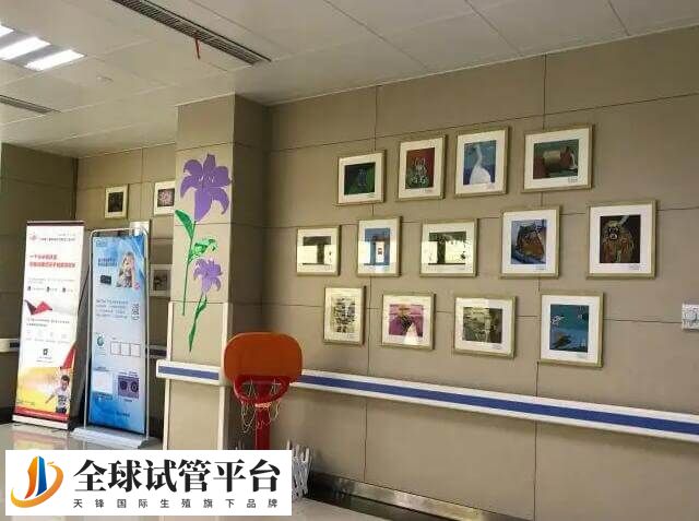 解放军第906医院试管成功率40%-56%