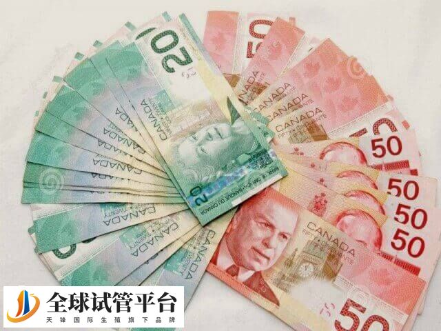 试管婴儿费用大概在3到8万元