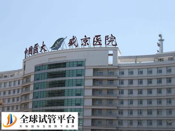 盛京医院是国内医学科大学的直属附属医院