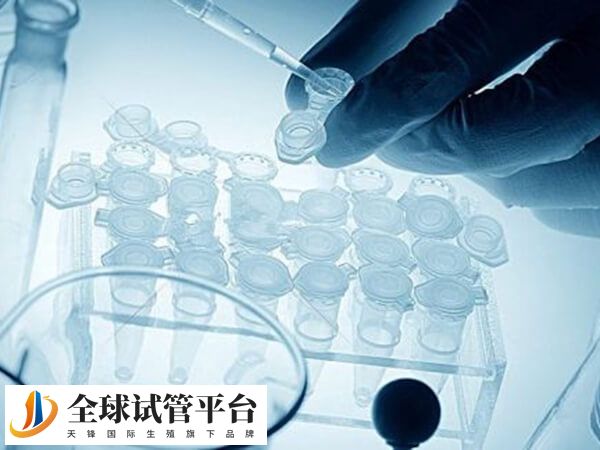 山大生殖马增香厉不厉害