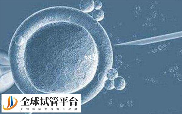 北京三代试管医院有哪些