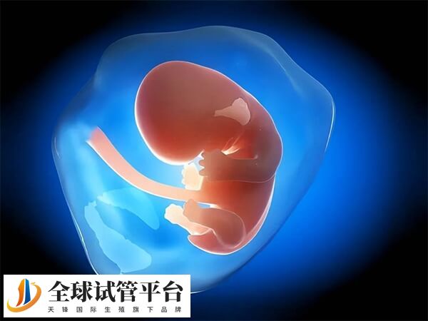 邢台没有能做三代试管的医院