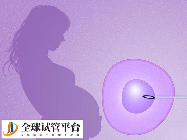 试管婴儿技术是一种辅助生殖技术