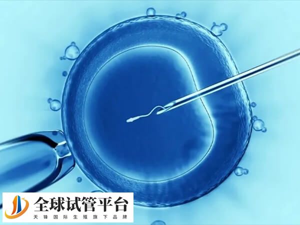 促排白带少可能是生理周期中激素波动所致