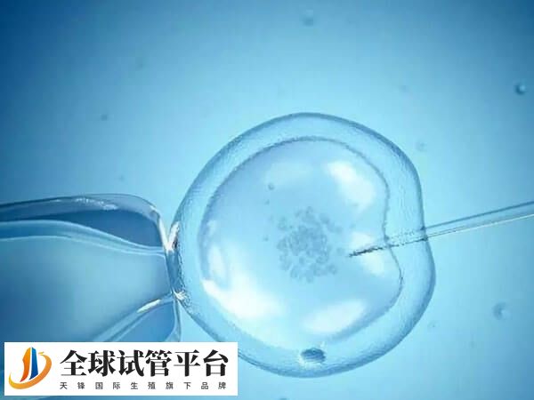 第三代试管检测主要依赖于基因组分析技术