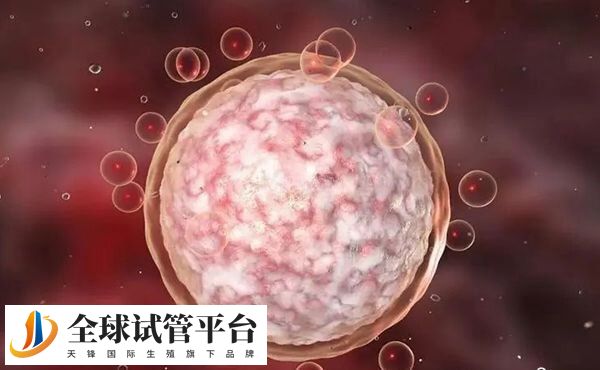 amh值对应于卵泡的数量