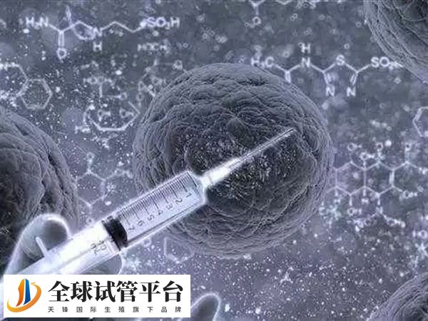 夜针能促使卵泡成熟