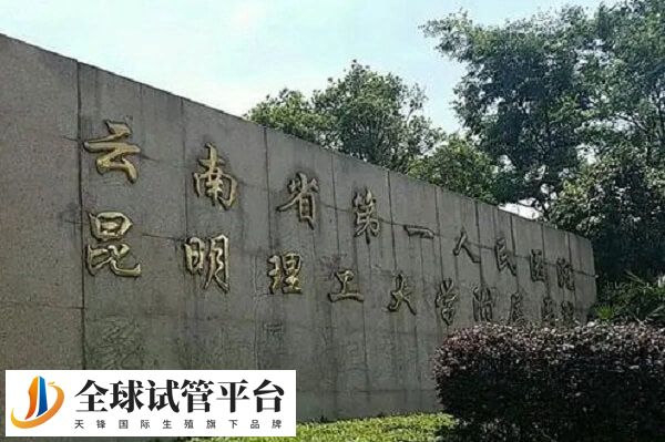 昆华医院马艳萍医生专业擅长不孕症