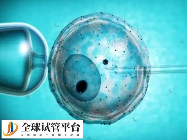 山大生殖的试管费用大致在3-12万元之间