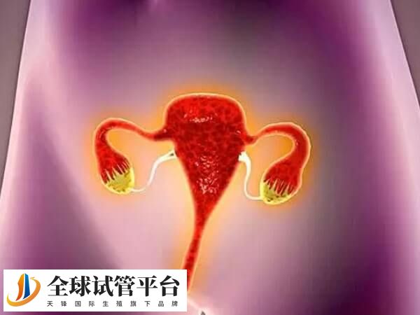 取卵后夜尿频繁是一个常见的现象