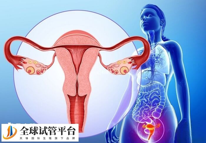 取卵后夜尿频繁是一种常见的副作用