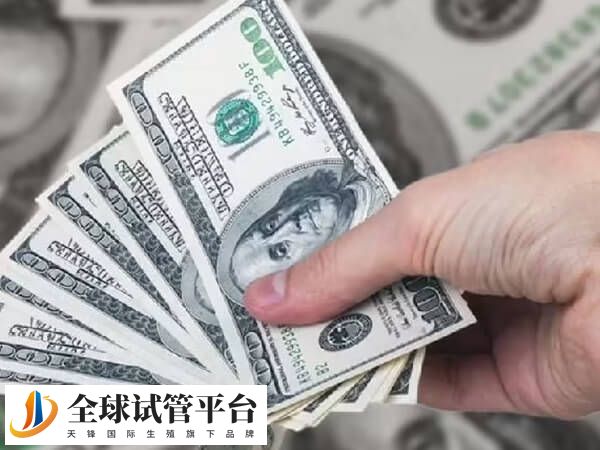 囊胚检测按个数收费