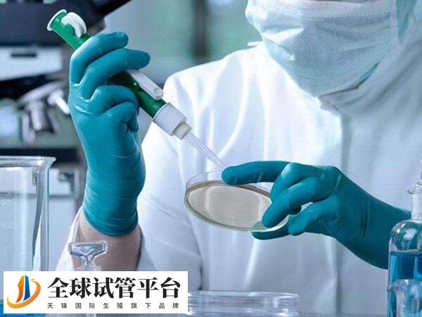 三代试管胚胎筛查时间大概是一个月