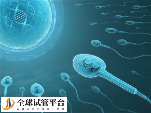 新乡医学院第三附属医院做试管怎么样
