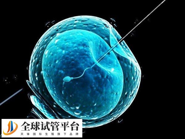 三代试管不可以性别筛选