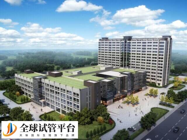 郭银华擅长宫腔镜治疗不孕症