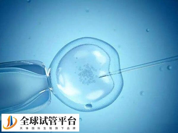 潍坊附属生殖医院做试管婴儿怎么样