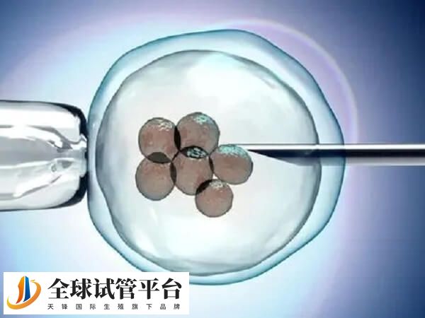 中信湘雅试管是否只能放一个