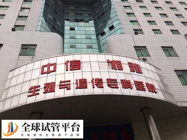 中信湘雅医院试管婴儿平均妊娠率达65%