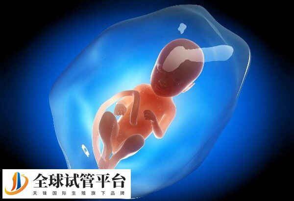 目前成都有两家医院可以做第三代试管