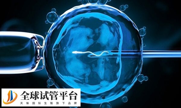 安徽合肥做第三代试管婴儿的医院有哪些