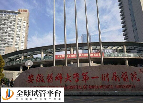 安徽医科大学第一附属医院