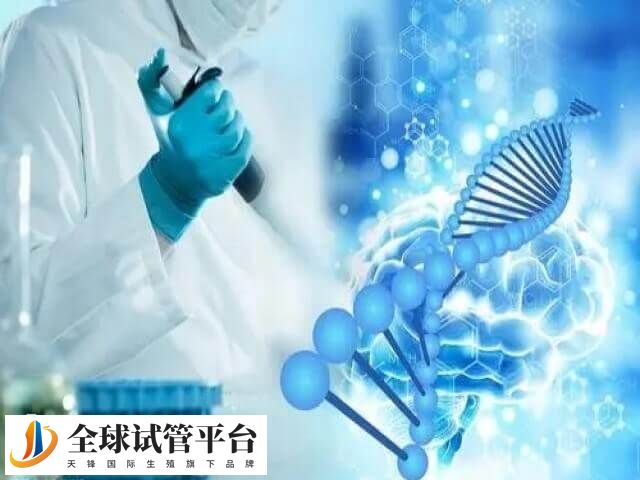 影响试管婴儿费用的要素较多