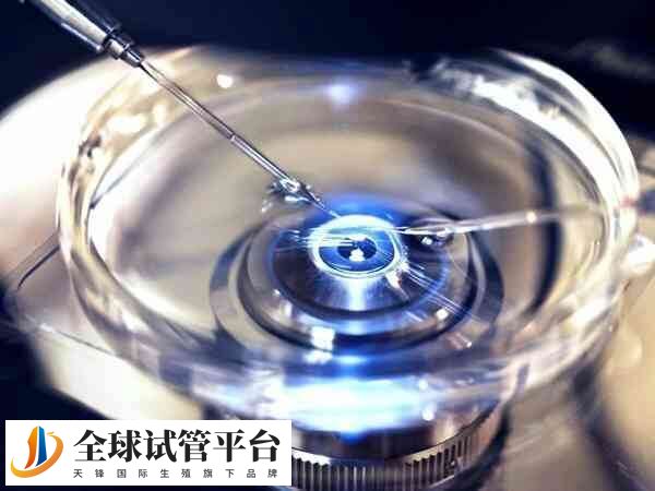 无锡妇幼一代试管价格多高