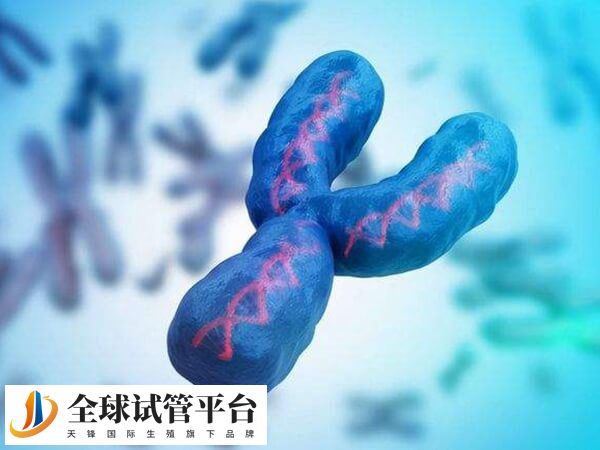 AZFC缺失个体一般均表现为严重少弱精症