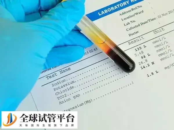 AMH在月经期和非经期的差别不大