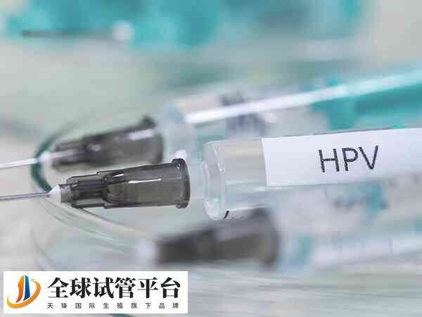 HPV11属于人乳头瘤病毒的低危型