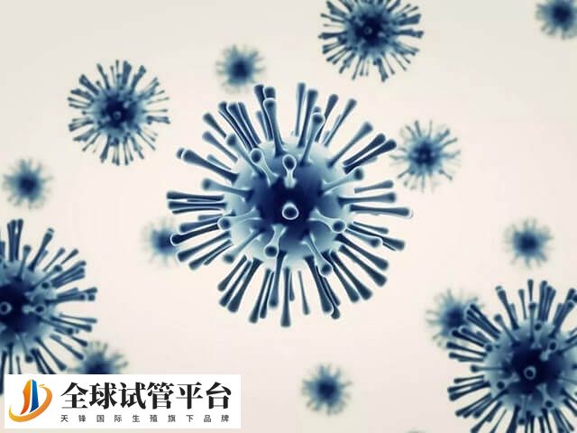 HIV即人类免疫缺陷病毒