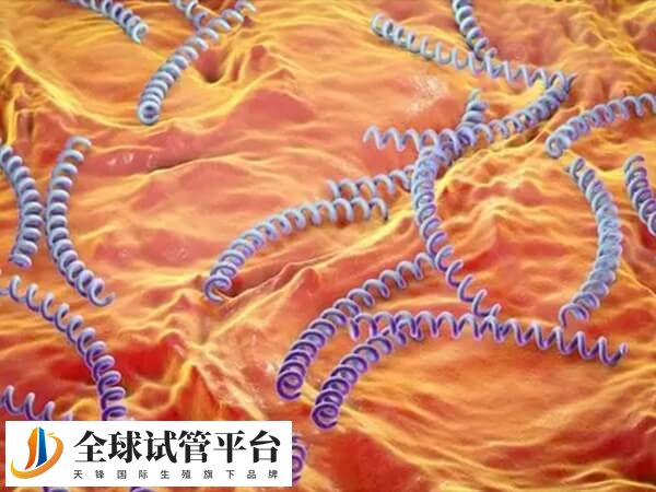 hiv病毒可以通过血液、性生活和母婴传播