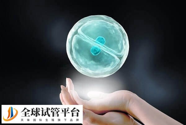 试管促排期间一定要做卵泡监测