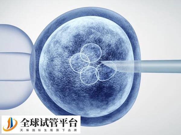 右江民族医学院附属医院妊娠率稳定在65%左右