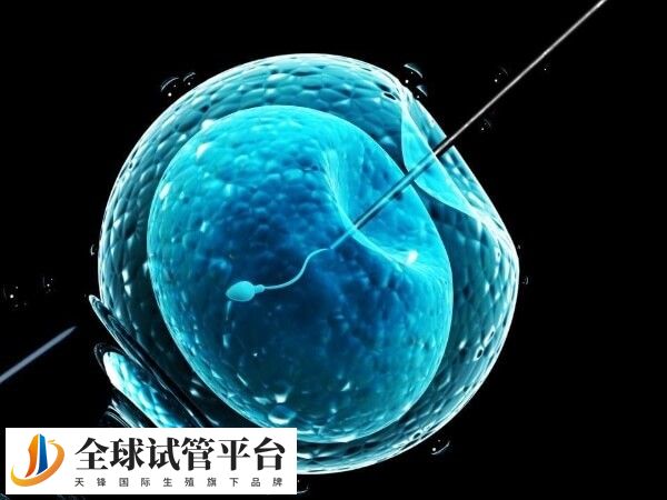 四代试管成功率很高