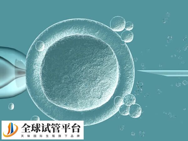 四代试管适合卵巢早衰的人