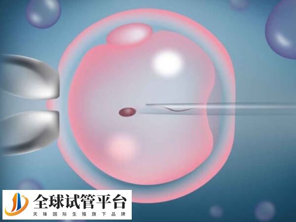 泰国能不能做四代试管婴儿