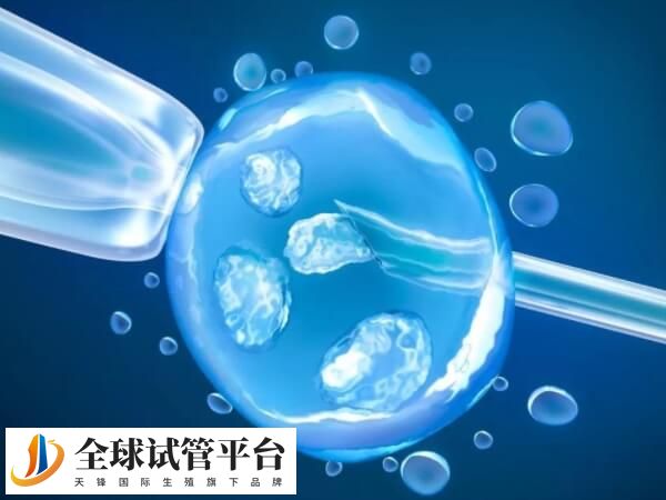 泰国不能做四代试管