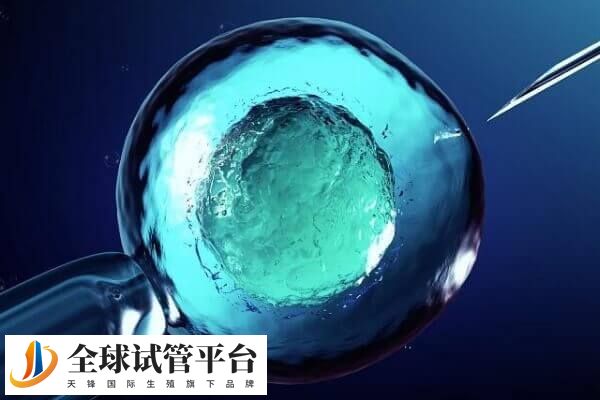 四代试管技术是被禁止的