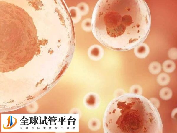 美国第四代试管仍然处于科研阶段