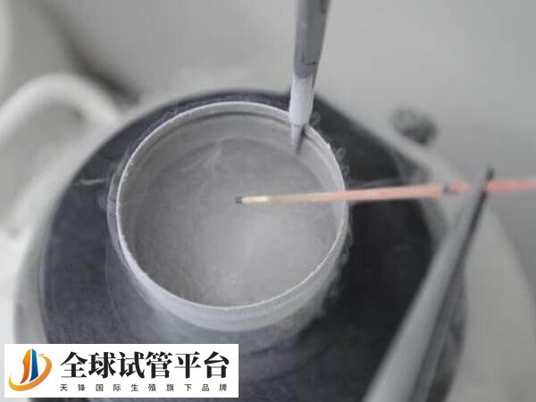 四代适合高龄妇女