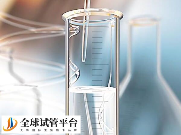 四代试管没有运用到临床