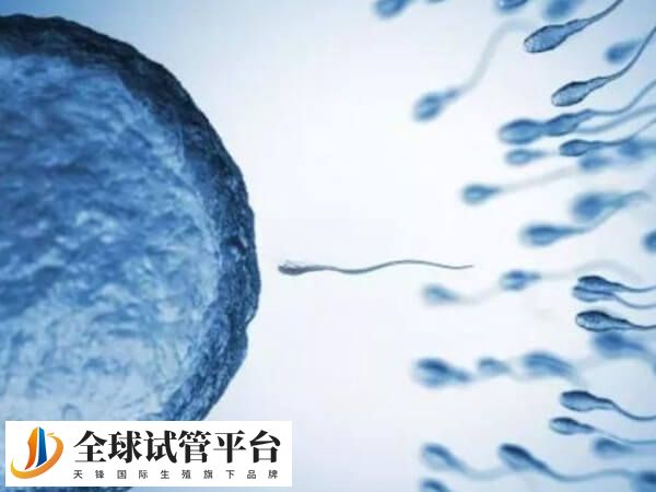 四代试管婴儿目前还处于科研阶段