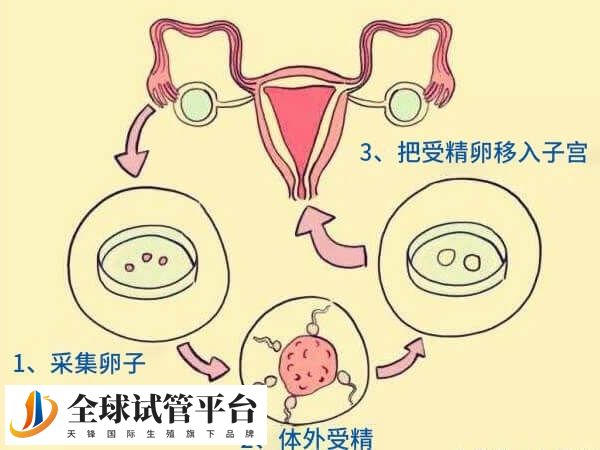 四代试管没有运用到临床