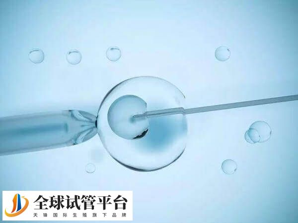 四代试管还在研究阶段