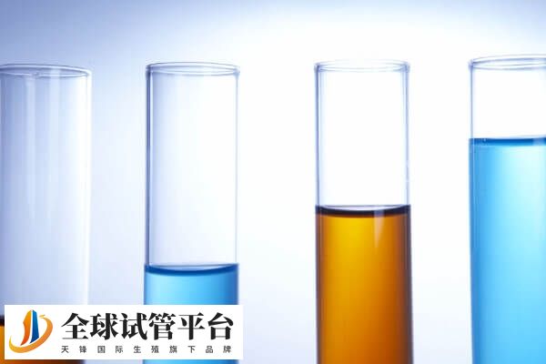 四代试管没有运用到临床