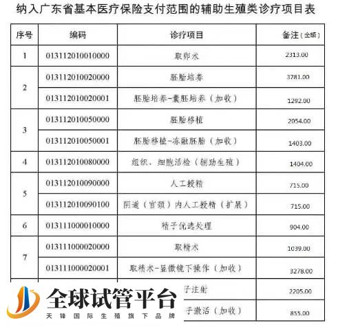 纳入广东省医保支付项目表