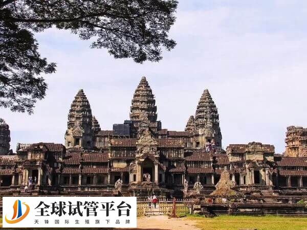 柬埔寨皇家生殖院做试管婴儿怎么样