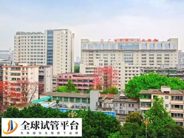 广州市第一人民医院试管婴儿大致在3-5.5万元左右